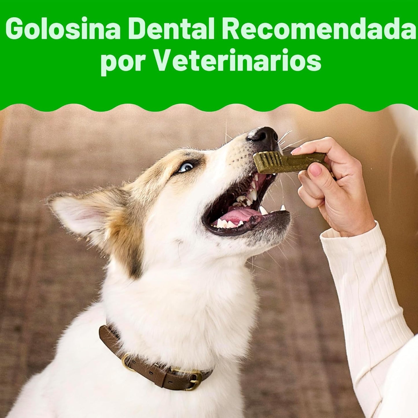 GREENIES - Golosinas naturales originales para la salud dental de p...