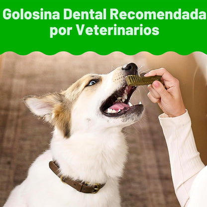 GREENIES - Golosinas naturales originales para la salud dental de p...