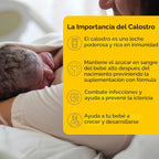 Medela Harmony Extractor de leche manual con kit de recolección de...