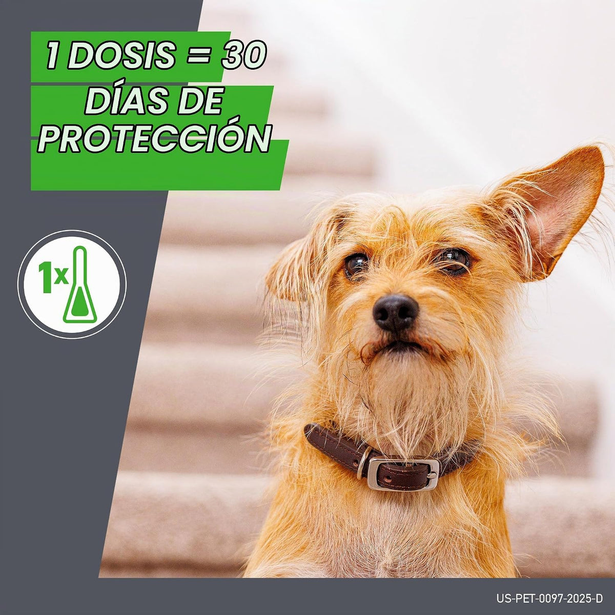 FRONTLINE Plus Tratamiento contra pulgas y garrapatas para perros g...