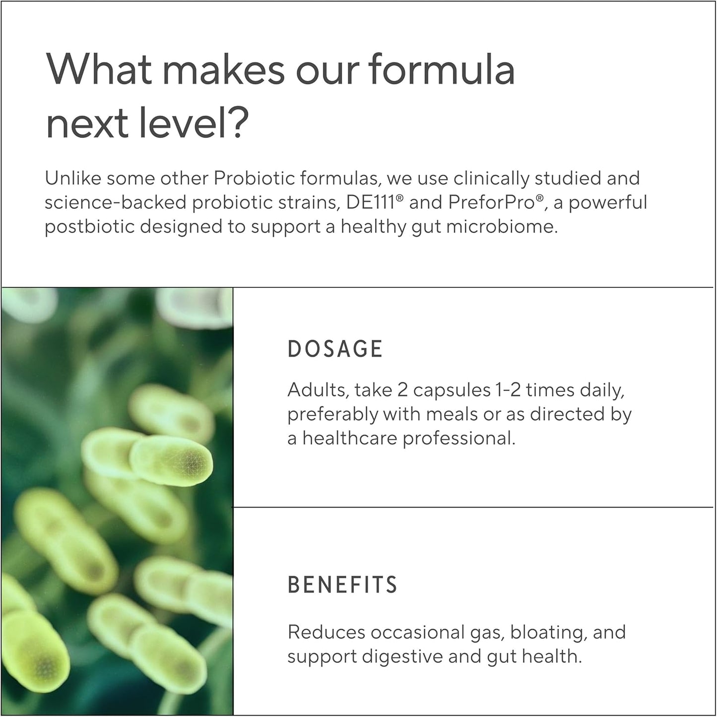 Probiótico, Prebiótico, Posbiótico y Enzimas Digestivas 4 en 1 Premium para Hombres y Mujeres – Apoya el Intestino, la Digestión y la Inmunidad – Salud Intestinal Completa con Pre, Post, Probióticos y