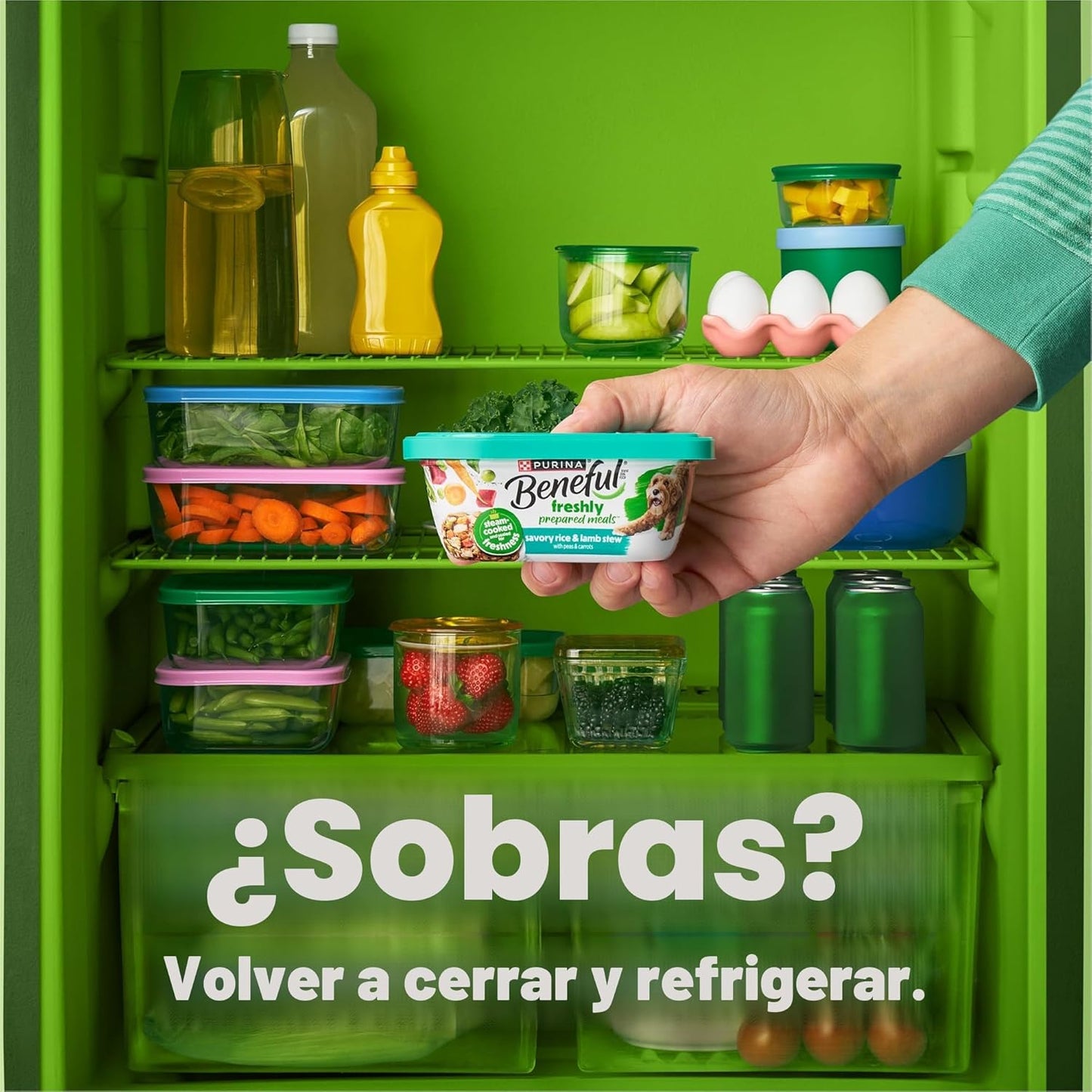 Purina Beneful - Paquete variado de alimentos húmedos en salsa para...