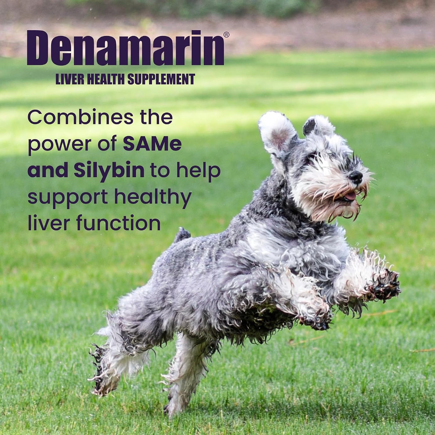 Nutramax Laboratories Denamarin Suplemento de salud hepática para p...