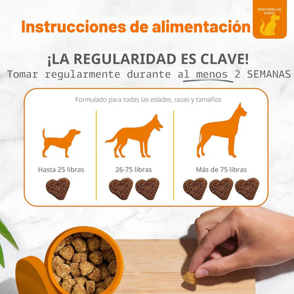 Zesty Paws Probióticos para perros - Enzimas digestivas para la flo...
