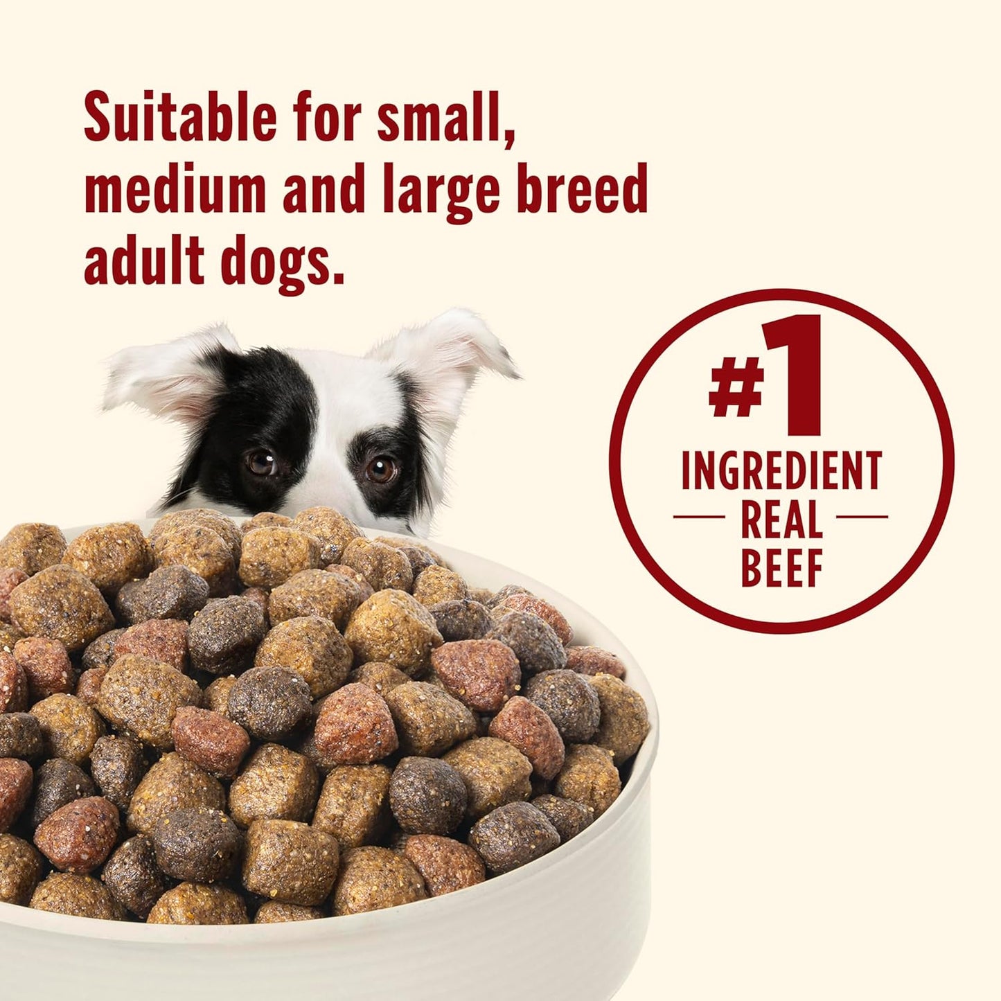 Rachael Ray Nutrish - Alimento para Perro Natural Seco