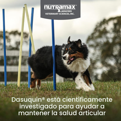 Masticables suaves para perros Nutramax Dasuquin con MSM