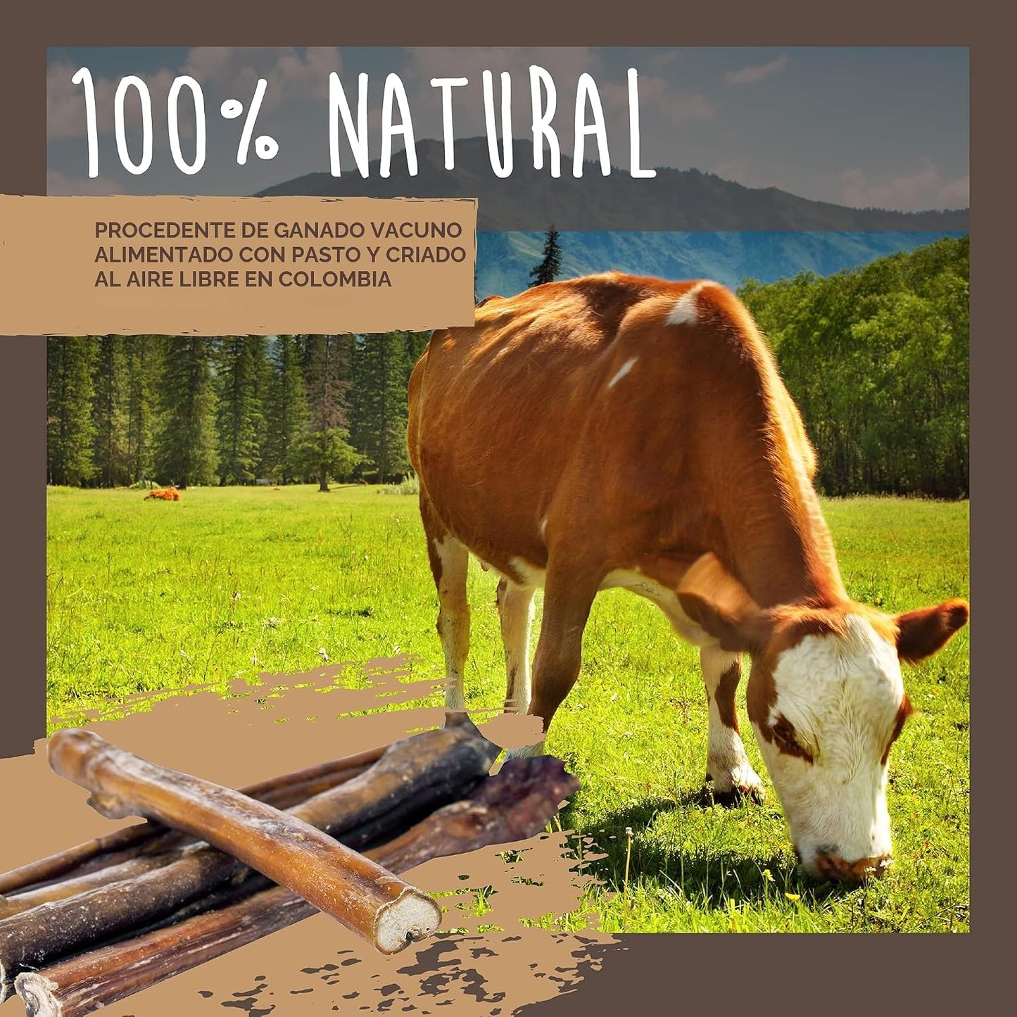 Mighty Paw Naturals Paquete Variado de Bully Sticks para Perros - M...