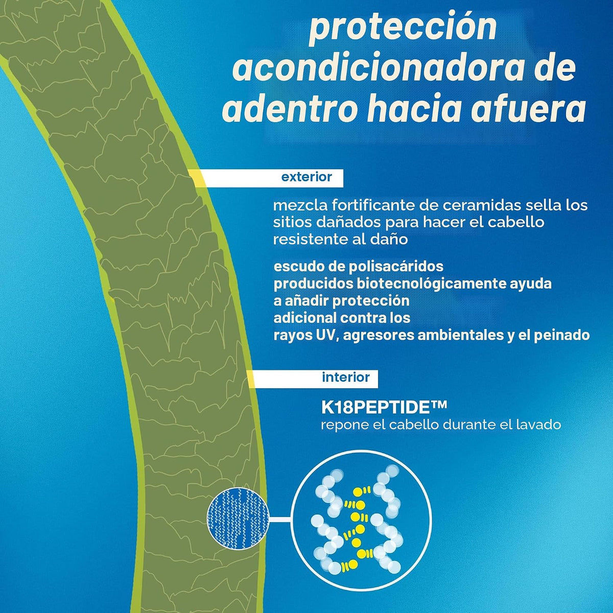 K18 Damage Shield - Juego de champú y acondicionador, color seguro,...