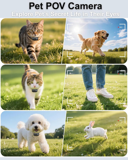 ZoomaraKam Collar de cámara para perros y gatos, grabación de video...