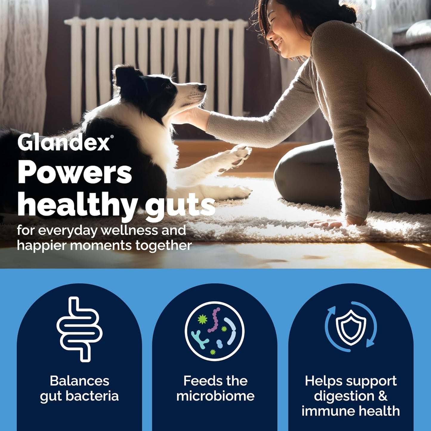 Vetnique Glandex - Probióticos diarios para perros con prebióticos...