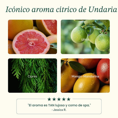 OSEA Undaria - Aceite corporal de algas de 5 onzas \u2013 Visibleme...