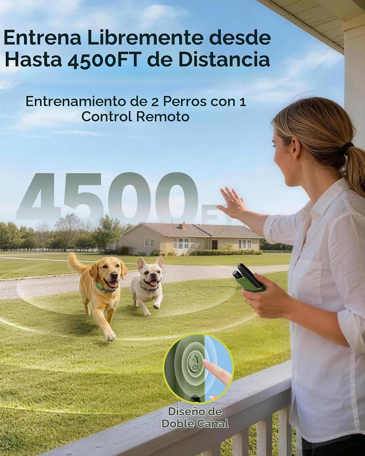 Collar de choque para perro, collar de entrenamiento para perros de...