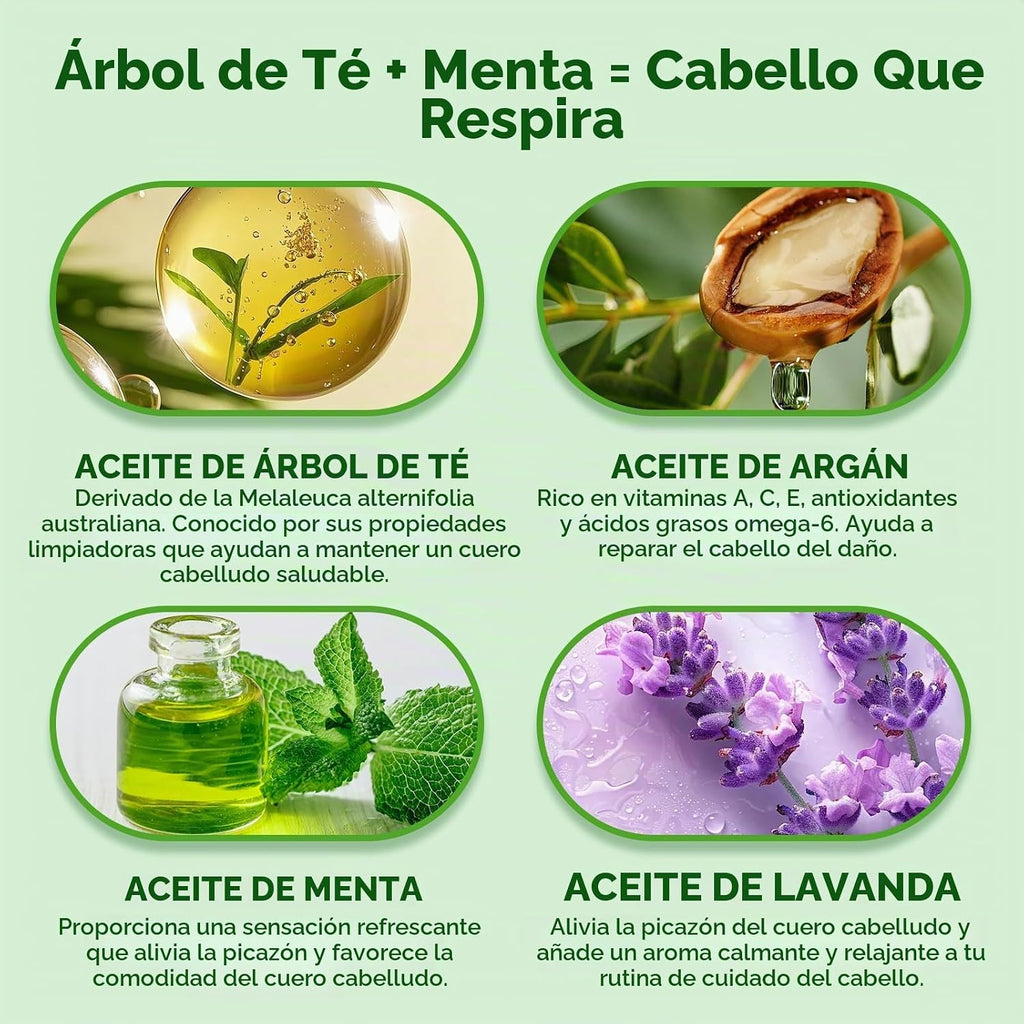 Luseta Tea Tree Mint Champú y acondicionador para limpieza del cabe...