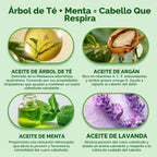 Luseta Tea Tree Mint Champú y acondicionador para limpieza del cabe...