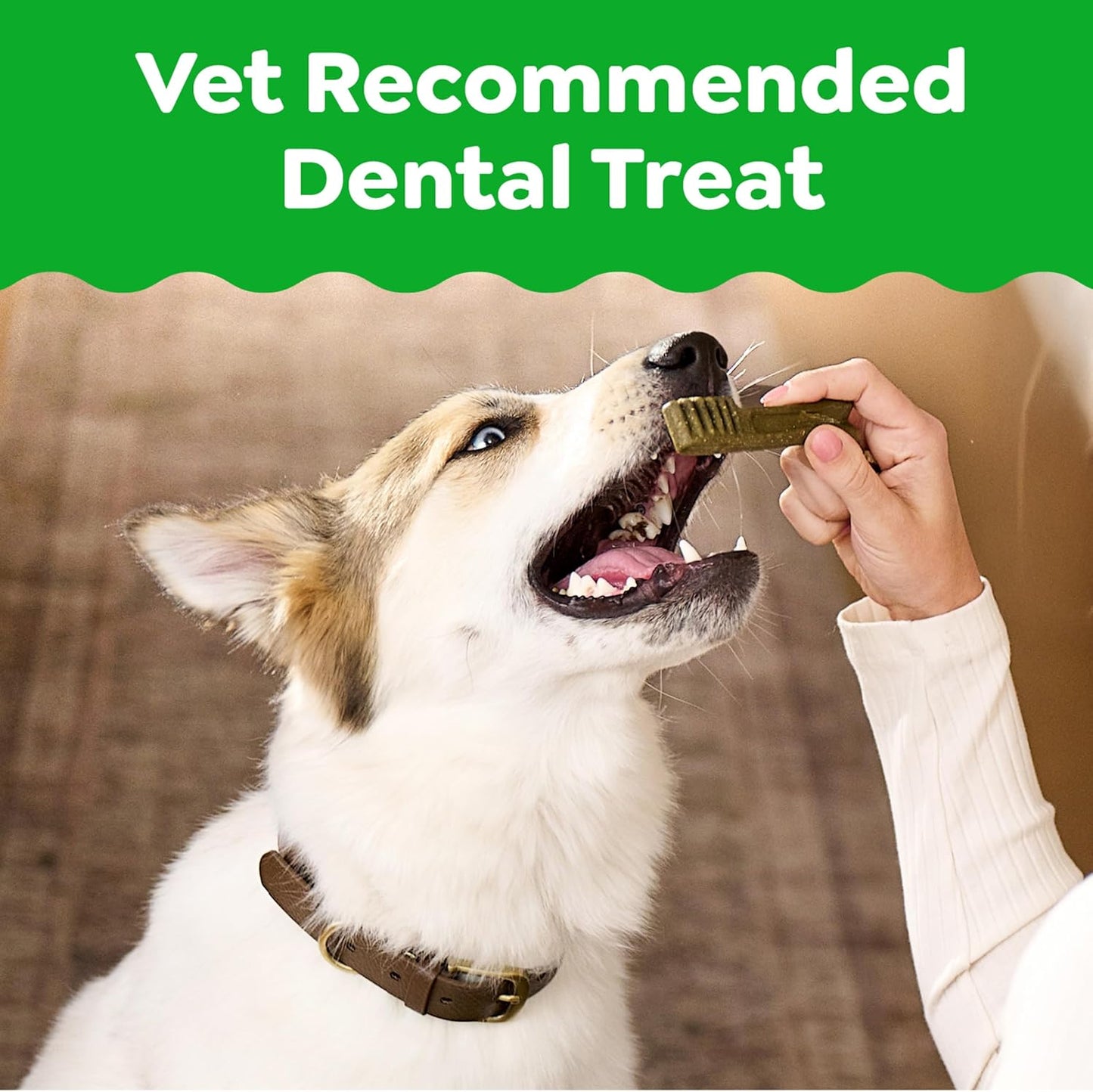 Greenies Dog Dental Chews Aperitivos para perros \u2013 Tamaño regu...
