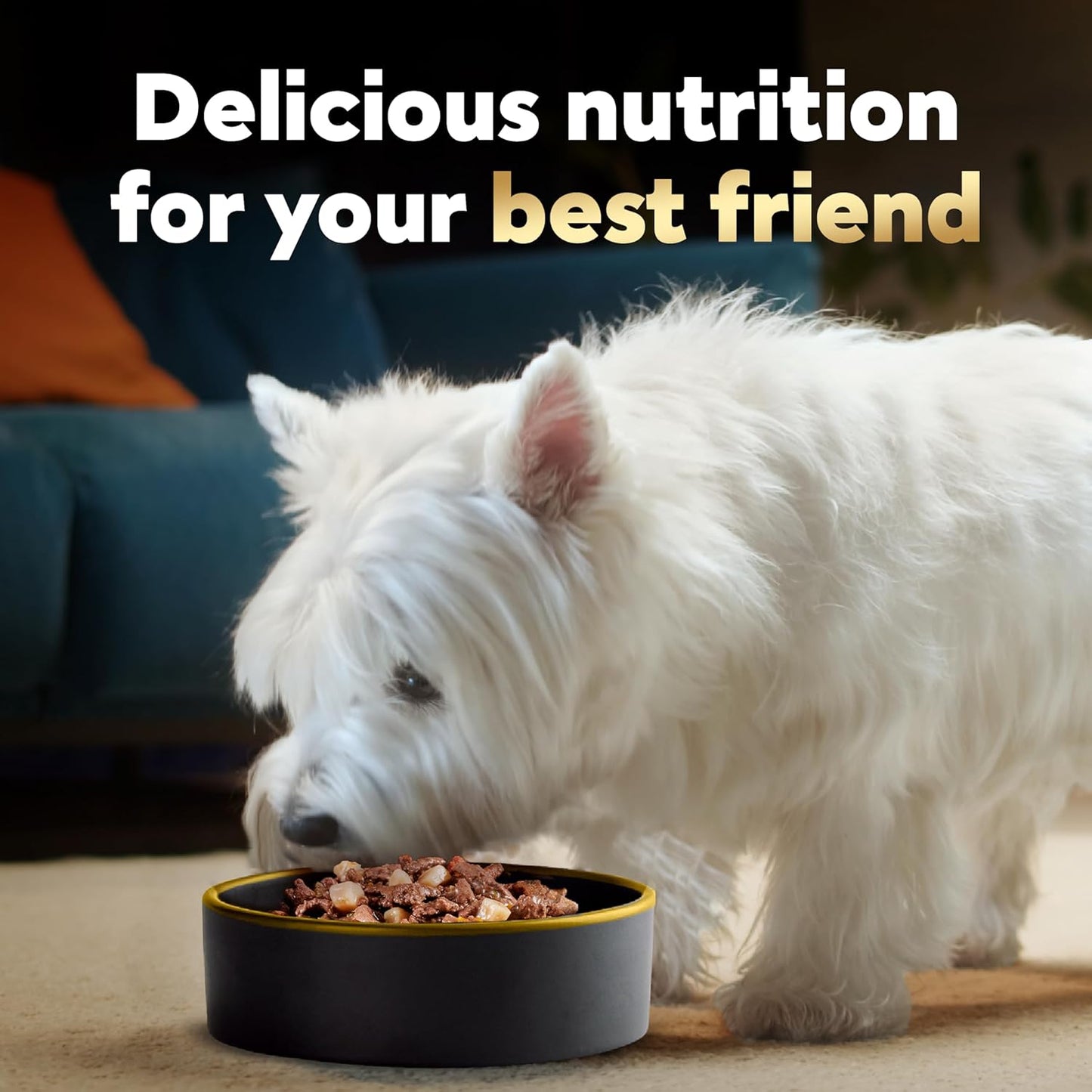 Cesar Home Delights Alimento húmedo para perros adultos, asado con...