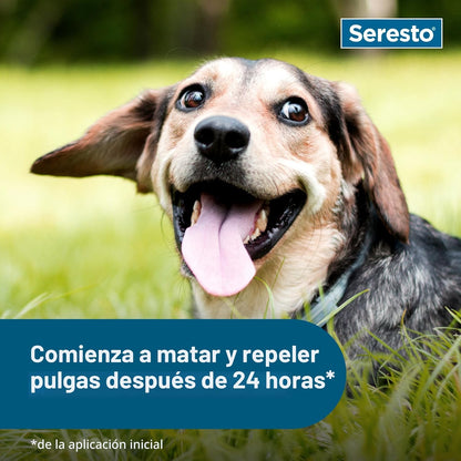 Seresto Collar de pulgas y garrapatas para perros, pulgas de 8 mese...