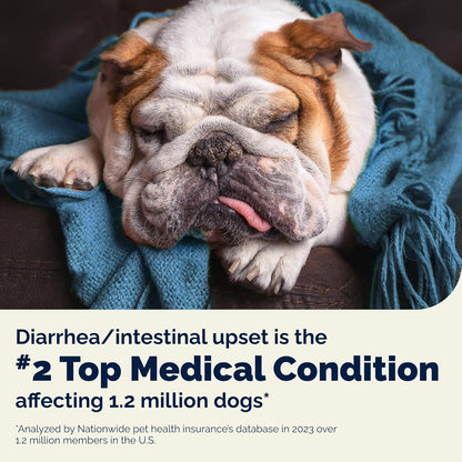 Vetnique Glandex - Probióticos diarios para perros con prebióticos...