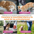 Zesty Paws Mobility Bites Suplemento para articulaciones de perro,...