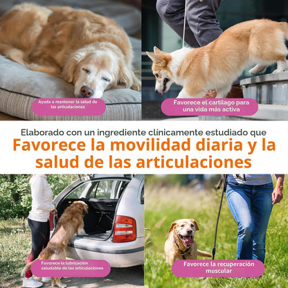 Zesty Paws Mobility Bites Suplemento para articulaciones de perro,...