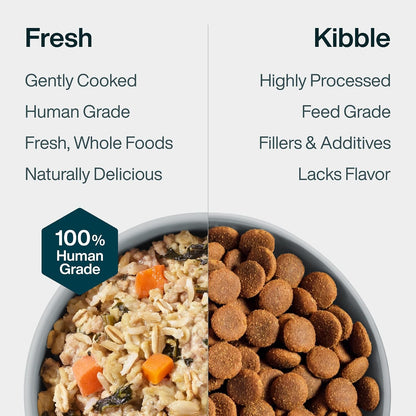 JustFoodForDogs JustFresh - Comida húmeda para perros, comidas fres...