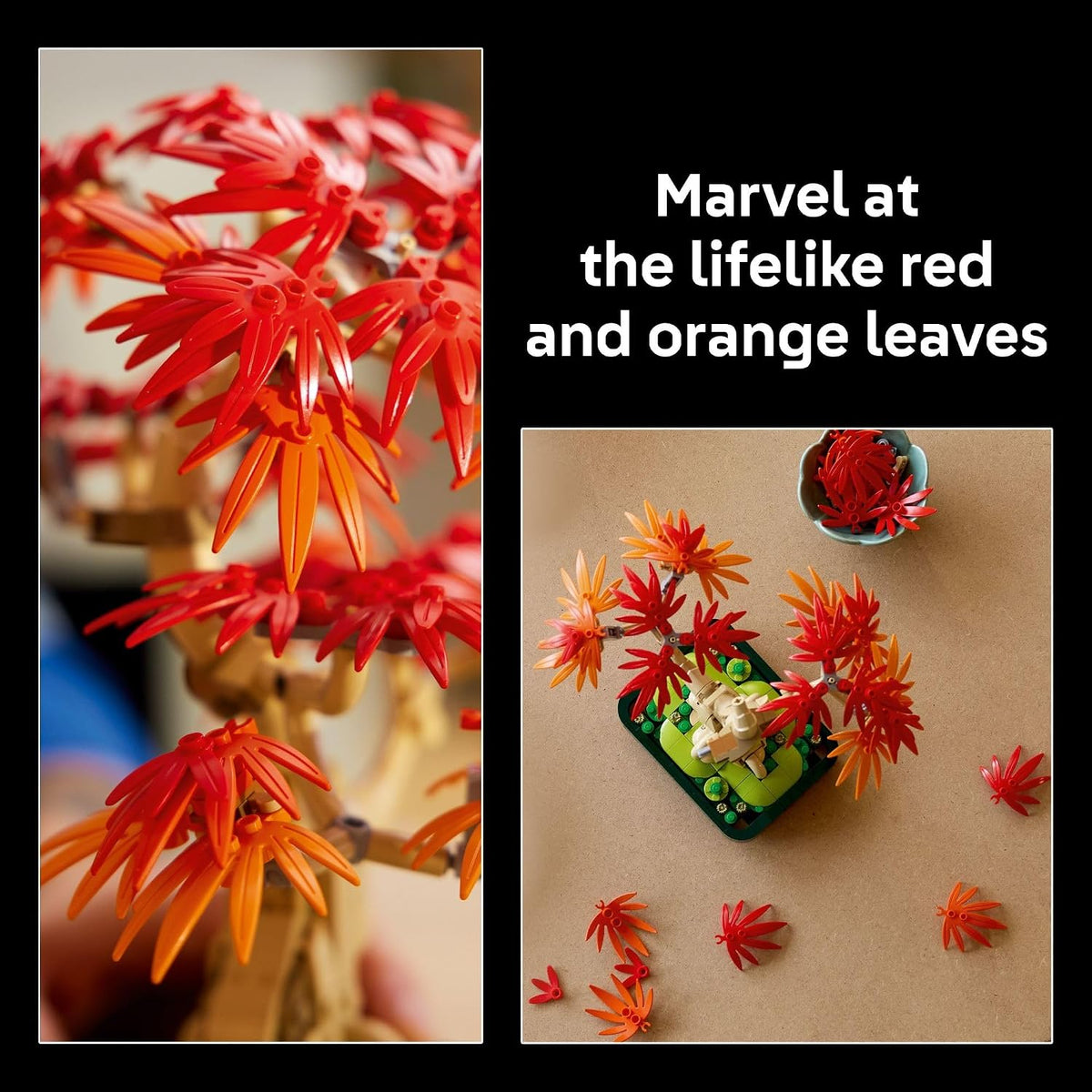 LEGO Botanicals 10348 - Kit de construcción de árbol bonsái de arce...