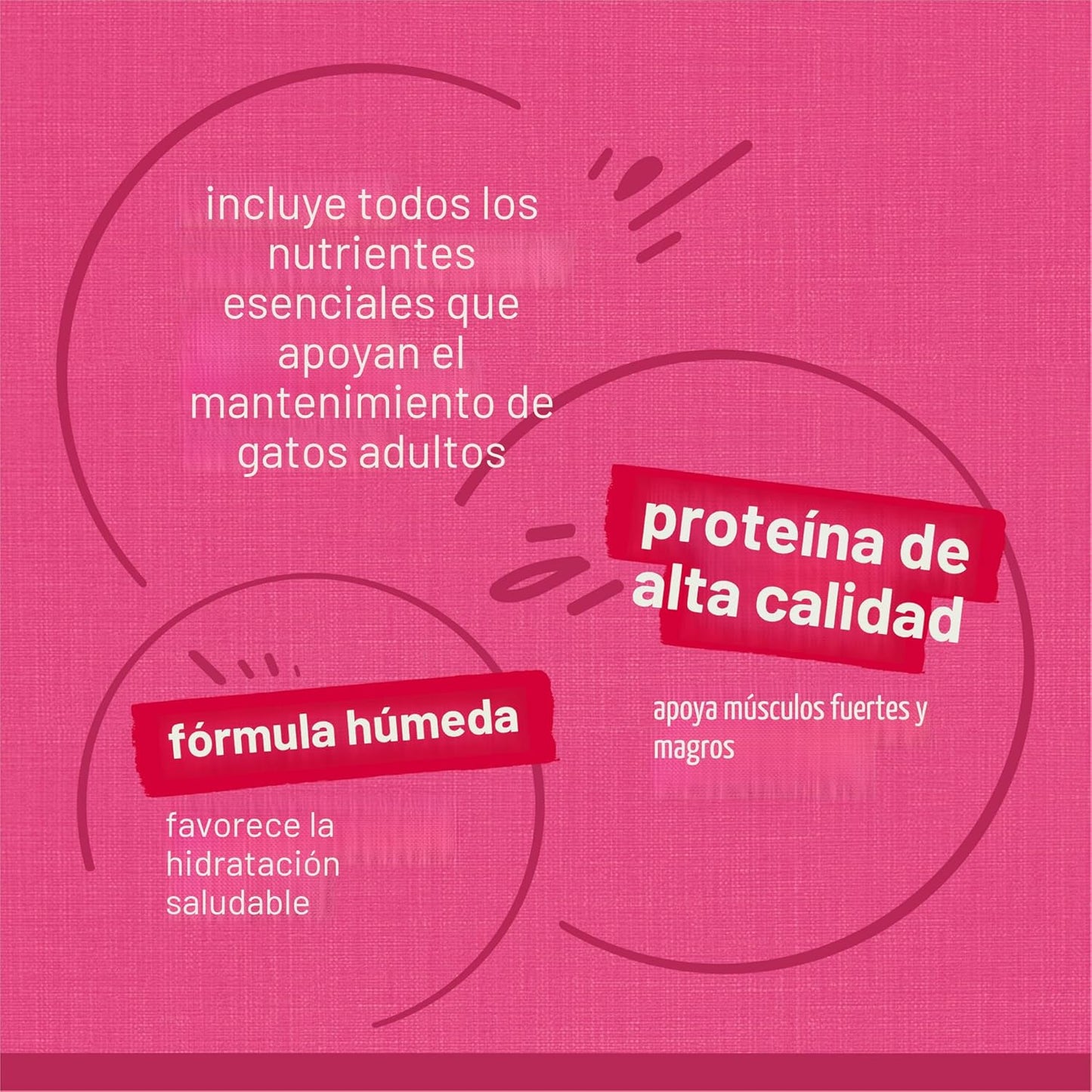 Purina Friskies - Paquete variado de alimentos húmedos para gatos e...