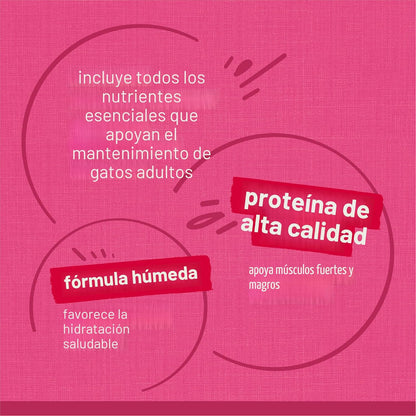 Purina Friskies - Paquete variado de alimentos húmedos para gatos e...