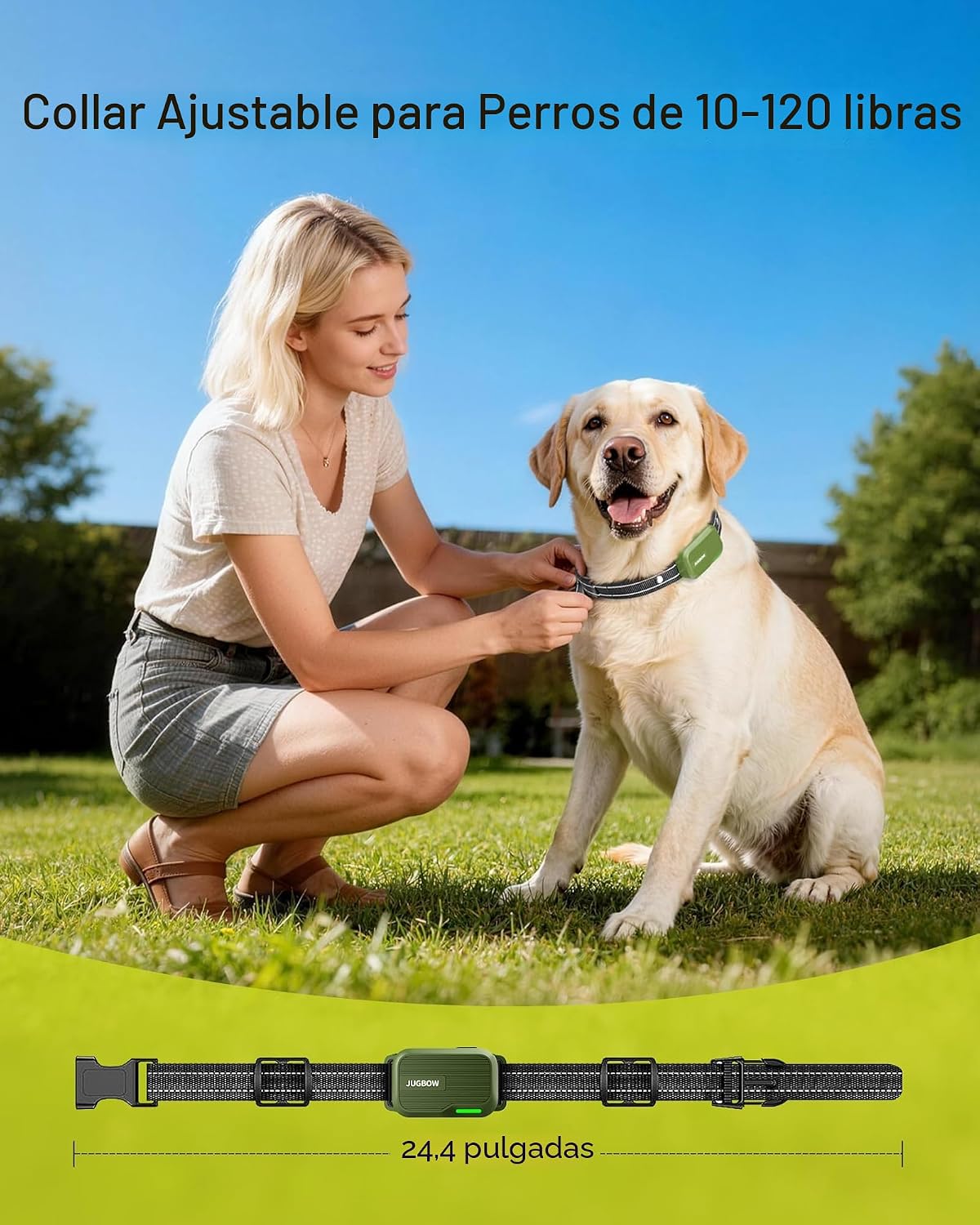 Collar de choque para 2 perros (10-120 libras) \u2013 Collar de ent...