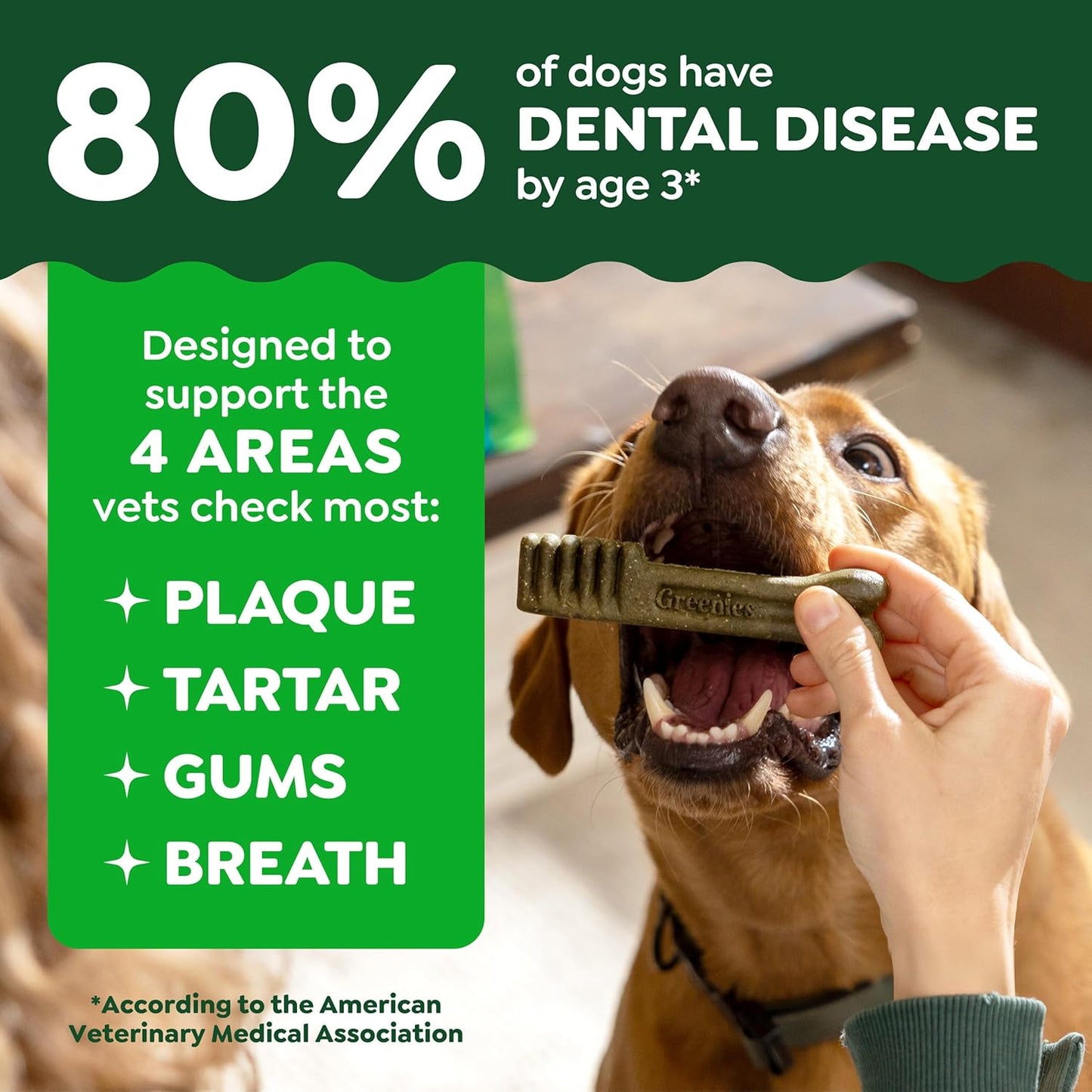Greenies Golosinas dentales naturales para perros adultos recomenda...