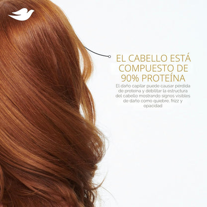 Dove Mascarilla Hidratante con Ácido Hialurónico para Cabello Seco...