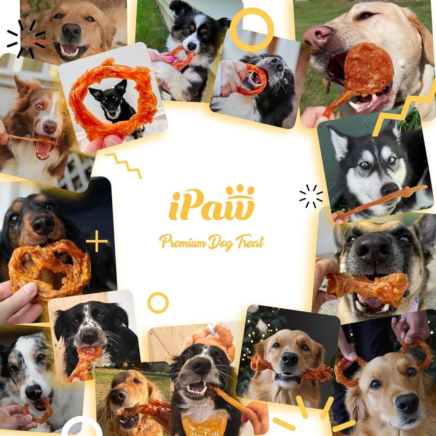 iPaw Tendones de Pavo para Perros Paquete de Valor de 10 Piezas, 10...