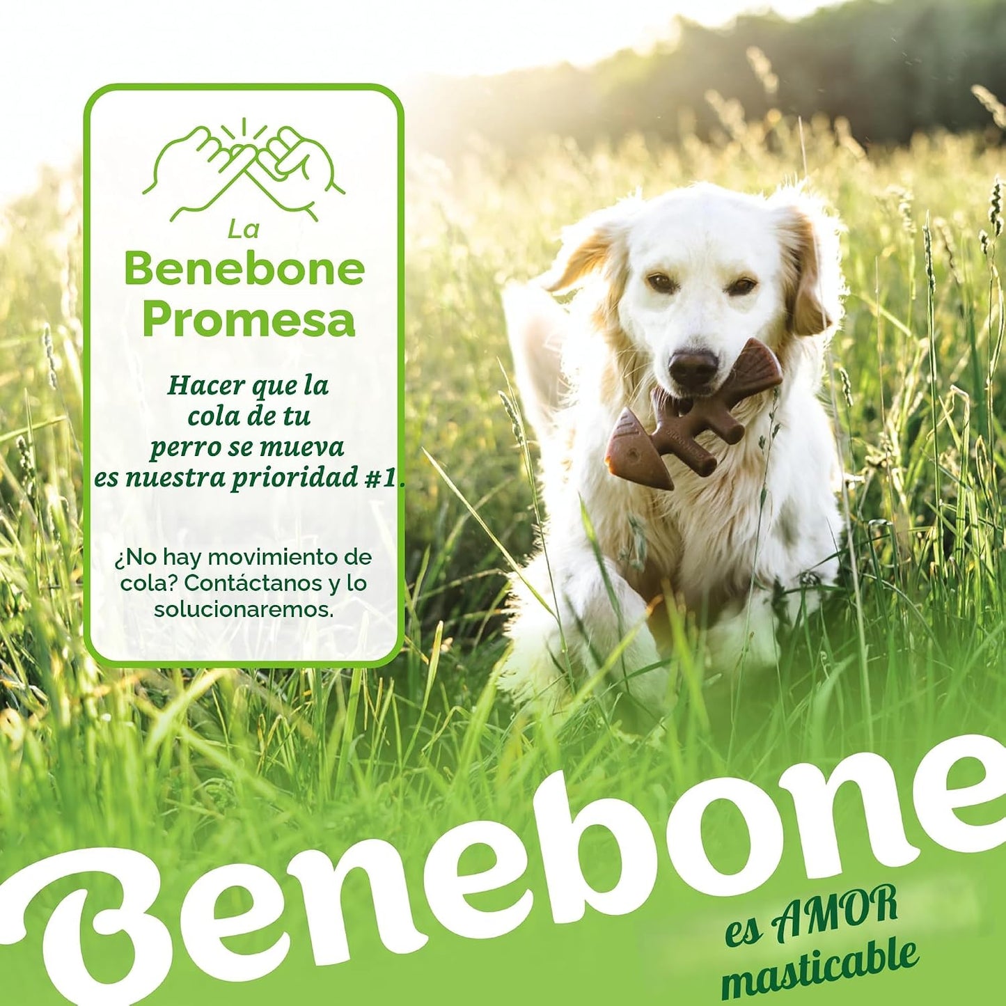 Benebone Paquete de 4 juguetes masticables medianos para perros par...