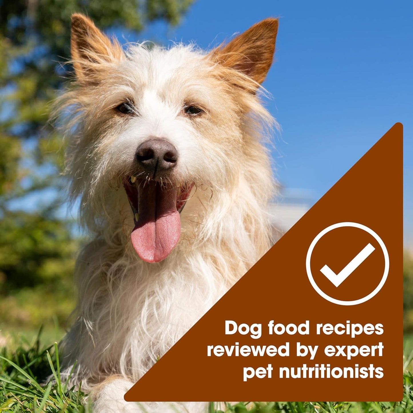 Nature's Recipe - Alimento húmedo sin cereales para perros; rec...
