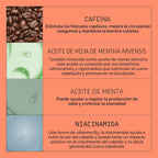 NIOXIN Kits de sistema de engrosamiento del cuero cabelludo + cabel...