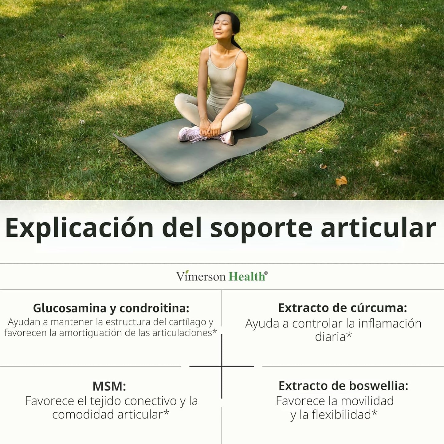 Glucosamina Condroitina MSM - Suplemento de apoyo articular para mu...