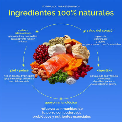 Native Pet Vitaminas y Suplementos para Perros - Polvo de Vitaminas...