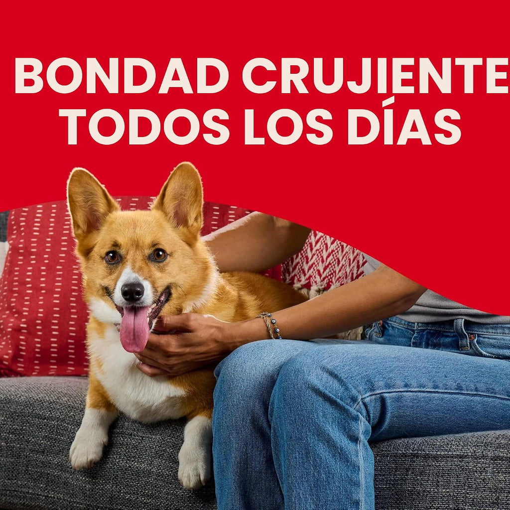 Aperitivos de sabores para perros, de la marca Milk-Bone, Mini | 5...