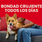Aperitivos de sabores para perros, de la marca Milk-Bone, Mini | 5...