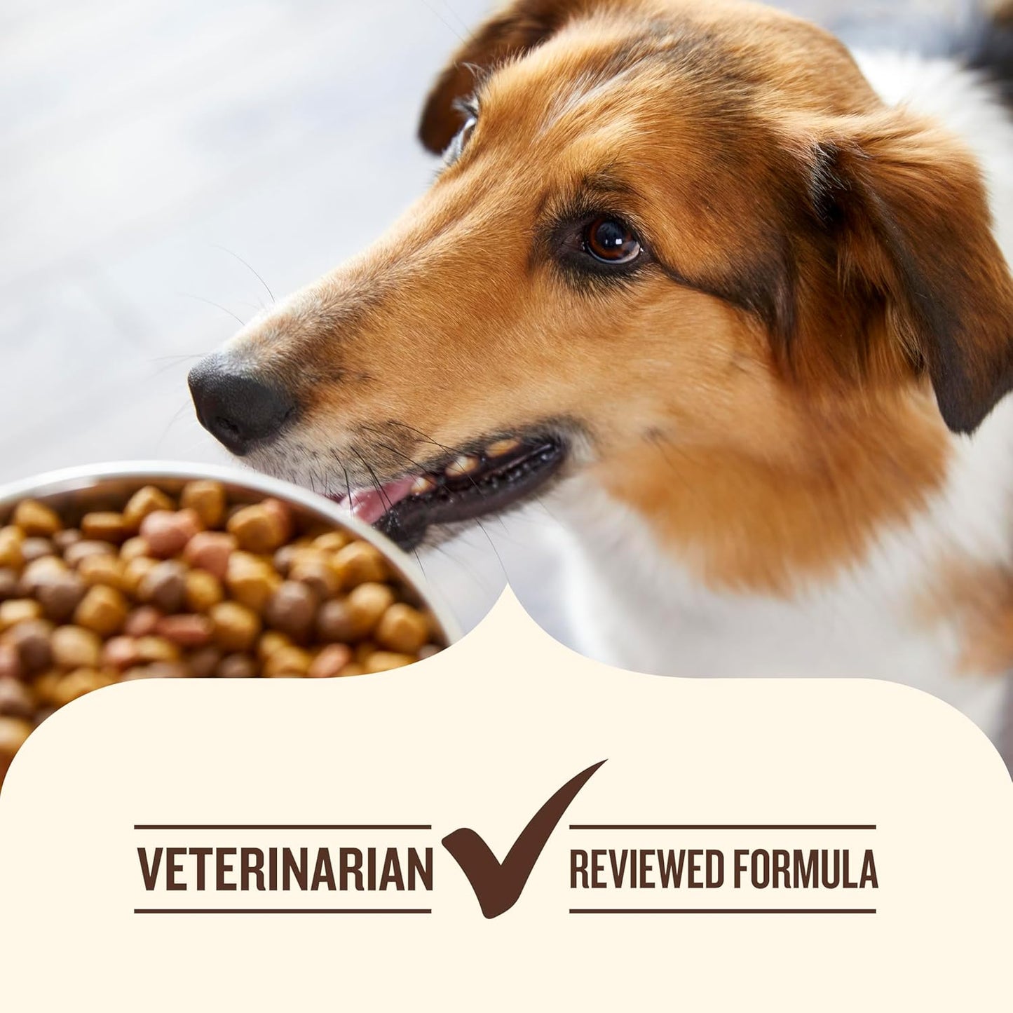 Rachael Ray Nutrish - Alimento para Perro Natural Seco