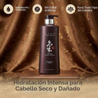 Daeng Gi Meo Ri Ki Gold Premium Champú 16.9 Fl Oz | Promueve el cre...