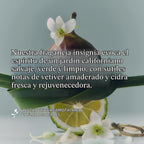 RŌZ Juego de champú y acondicionador hidratante sin sulfato, 10.1 o...