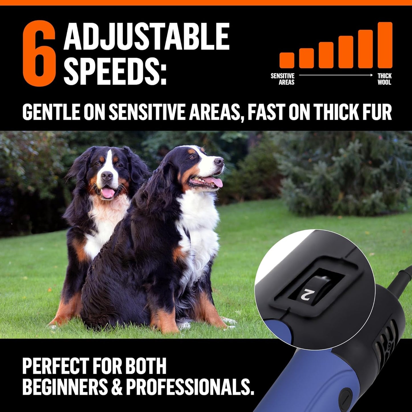 Cortadora profesional para perros para abrigos gruesos, kit de cort...