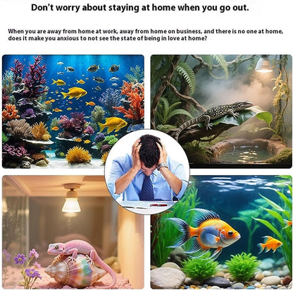 Cámara para Acuario, Cámara WiFi para Terrarios de Mascotas HD 2K,...