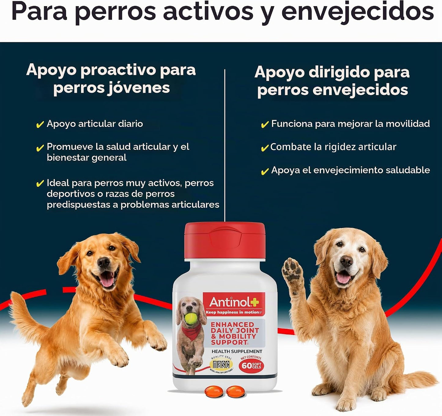 Antinol Plus Mobility - Suplemento para cadera y articulaciones par...