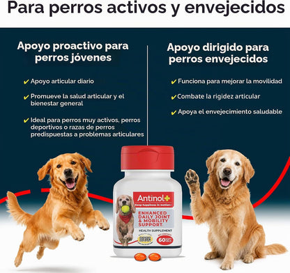 Antinol Plus Mobility - Suplemento para cadera y articulaciones par...