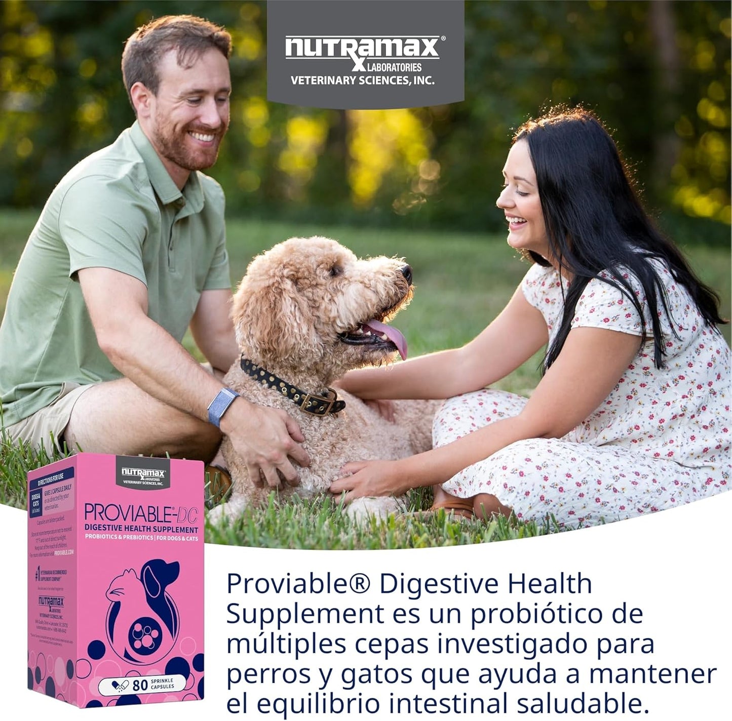Nutramax Proviable Probióticos para Perros y Gatos, Suplemento Diar...