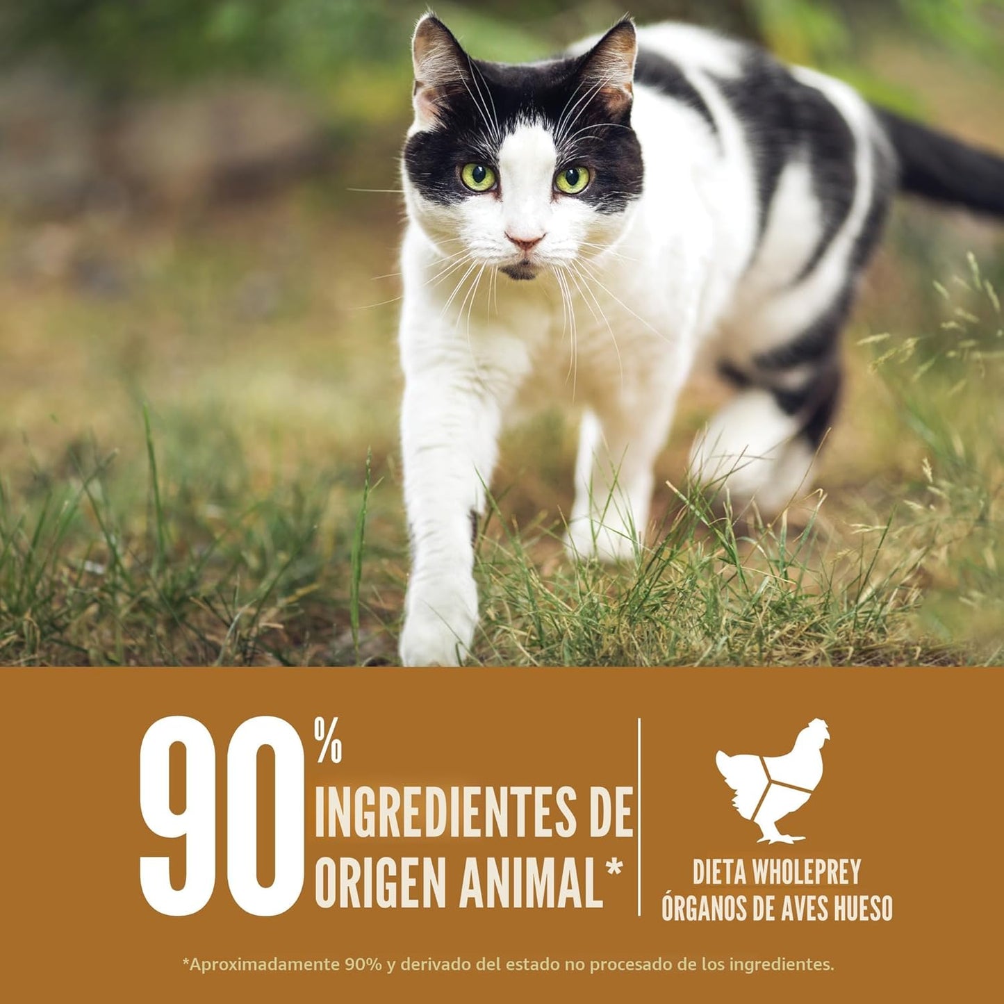 ORIJEN Alimento seco premium para gatos con alto contenido de prote...