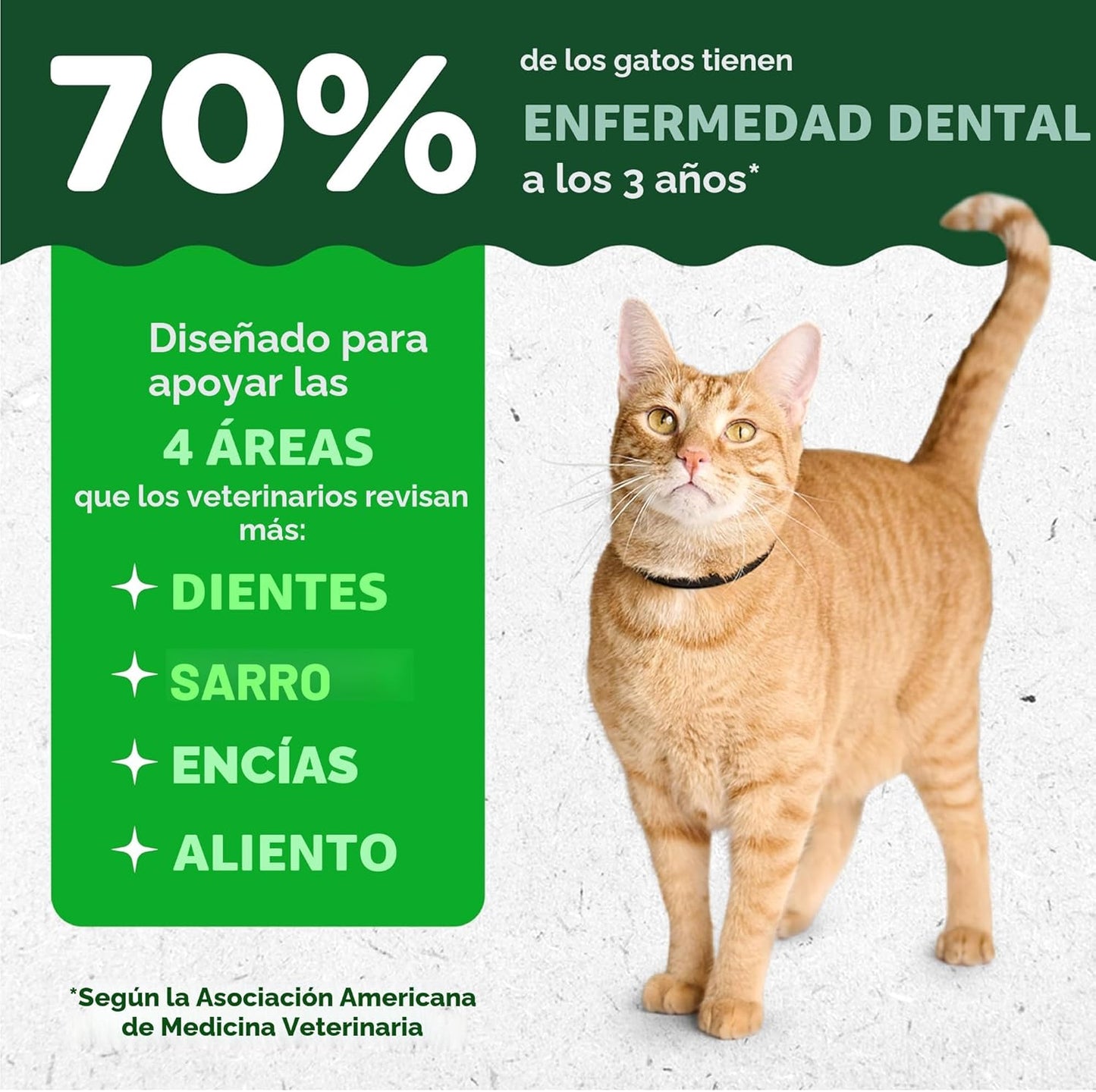 Greenies Golosinas dentales naturales para gatos adultos recomendad...