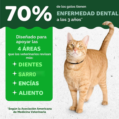 Greenies Golosinas dentales naturales para gatos adultos recomendad...
